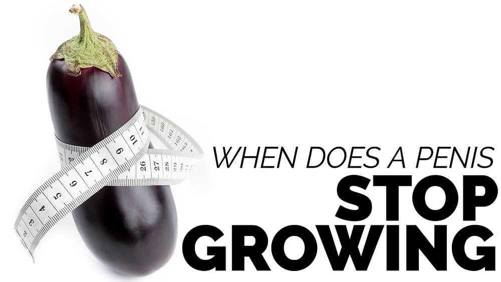 when does your penis stop growing